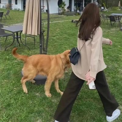 告别单身
